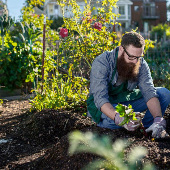 créer de nouveaux business au naturel chez Botanic